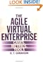 The Agile Virtual Enterprise: Cases, Metrics, Tools