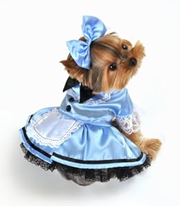 Anit Accessories Fantasy Alice Dog Costume, X-Small, 8-Inch