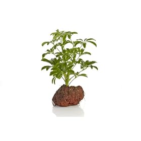 HauLava