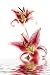 Pink Iris in Water - 18