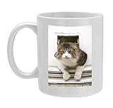 Photo Mug of Norwegian Forest Cat - coming through cat flap from Ardea