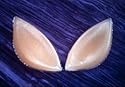 Curves Cookies - Silicone Push-up Pads