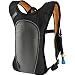 Sporting Goods : Camelbak 2007 SnoBowl - Winter 50 oz. Hydration Pack
