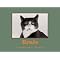 Light hearted gifts for cat lovers