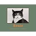 Light hearted gifts for cat lovers
