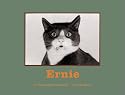 Ernie: A Photographer's Memoir