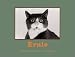 Ernie: A Photographer's Memoir