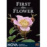 NOVA: First Flower