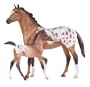 Appaloosa Mare and Dun Foal
