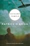 Richard Temple: A Novel