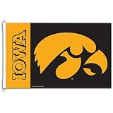 Iowa WinCraft NCAA 3' x 5' Flag