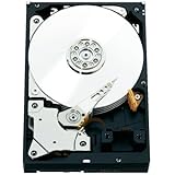 WD RE 2 TB Enterprise Hard Drive: 3.5 Inch, 7200 RPM, SATA III, 64 MB Cache (WD2000FYYZ) (Old Model)