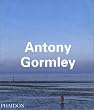Antony Gormley (Contemporary Artists)