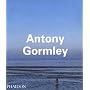 Antony Gormley (Contemporary Artists)