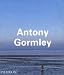 Antony Gormley (Contemporary Artists)