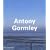 Antony Gormley (Contemporary Artists)