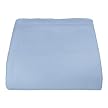 Lt. Blue Basic Acrylic Blanket - Fl/Qn
