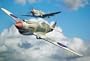 P-40B Warhawk 1-48 by Trumpeter