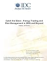 Catch the Wave - Energy Trading and Risk Management in 2005 and Beyond