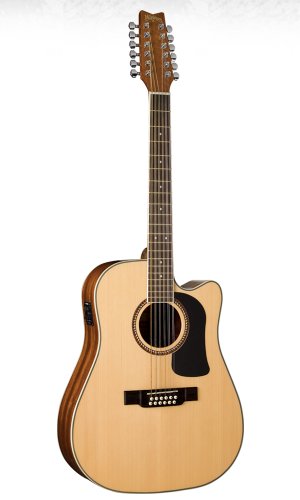 Washburn WD10 SeriesWD10SCE12 Acoustic Guitar