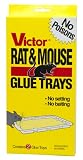 Victor Rat Glue Trap