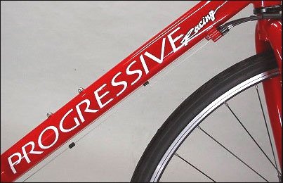 ◆10プログレッシブ FRD-150 powerred カラー/サイズ：powerred/460mm