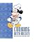 The Best Disney Guide Books