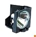Epson V13H010L25 Lamp Module for EMP-S1