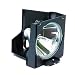 Epson V13H010L25 Lamp Module for EMP-S1