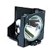 Epson V13H010L25 Lamp Module for EMP-S1
