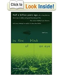 In the Blink of an Eye