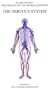 The Nervous System (Organs of the Human Anatomy) (Systems of the Human Anatomy)