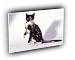 cat wesley calico kitten A2 Large Canvas