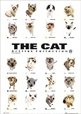 THE CAT [GN-0179] [�|�X�^�[]