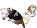 Ruff Ruff and Meow White Troublemaker T-shirt, Size XL