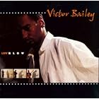 Low Blow by  Victor Bailey 