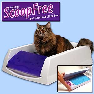 Buy Now at Amazon.com: SCOOP FREE LITTER BOX
