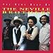 The Very Best of the Neville Brothers