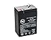 Dual-Lite EZ-2-220V 6V 4.5Ah Emergency Light Battery - This is an AJC Brand Replacement