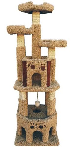 Buy Pussycat Palace Kitty Gym with Cherry Wood Accents : Size CARPET ONLY – NO WOOD