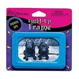 Light Up Frame