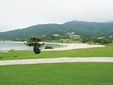 IMAGE OF A Golf Course Near the Ocean Stretched Canvas Poster Print, 18x24