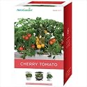 Aerogarden Red Cherry Tomato Seed Kit 3/6