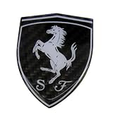 Ferrari Real Carbon Fiber Rare Car Logo Badge Emblem for 512 308 458 599 328 GTS GTO... 