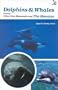 Dolphins & Whales, Including Other Sea Mammals and the Manatee