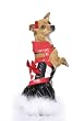 Snow White's Evil Queen Cute Dog Holiday Pet Costume