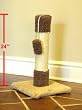 Majestic 24 Inch Cat Scratching Post