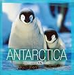 ANTARCTICA(CCCD)