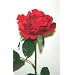 Artificial Silk Medium Rose Single Stem - 65cm, Red, Medium