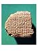 Babylonian Tablet, Saturn Ephemeris, circa 500 BC Photography Giclee Poster Print, 18x24